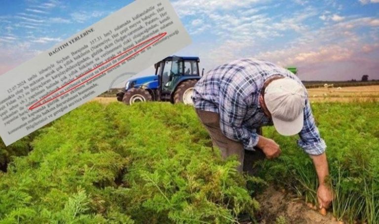 CHP'li Şevkin'den Bakanlığa çağrı: Biten çiftçinin işini bitirmeyi mi düşünüyorsunuz?  – Güncel siyaset, tarım haberleri