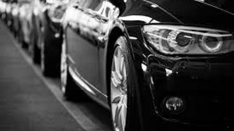 55 Hangi plaka? Hangi şehrin plakası 55’tir? 55 Hangi ile ilgilidir?