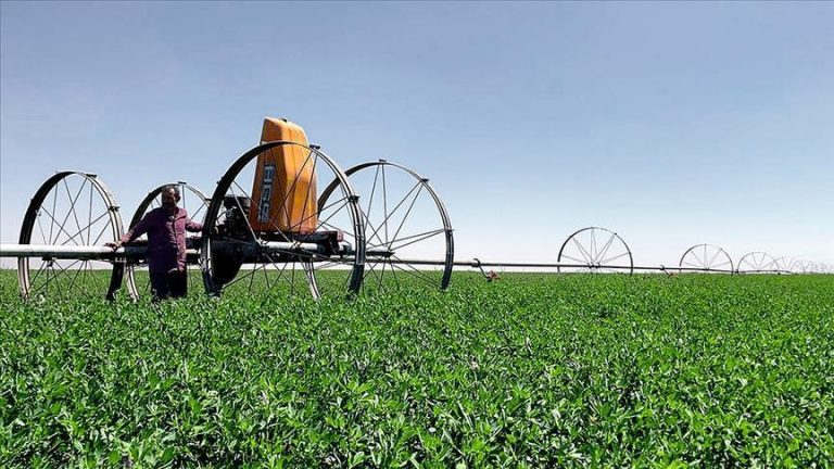 KIRSAL KALKINMA DESTEĞİ 2025 ŞARTLARI | Kırsal Kalkınma Yatırımlarının Desteklenmesi Programı (KKYDP) başvurusu nasıl ve ne zaman yapılır? Cumhurbaşkanı Erdoğan’dan açıklama: 18,5 milyar lira destek verilecek!