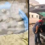 Kapıkule’de kaçak yollarla yurda sokulmak istenen 8 bin adet sülük ele geçirildi