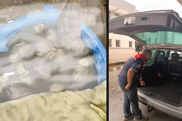 Kapıkule’de kaçak yollarla yurda sokulmak istenen 8 bin adet sülük ele geçirildi
