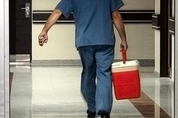 TBMM’de kabul edildi: organ bağışı süreçlerinde dönüşüm başlıyor! e-Devlet üzerinden organ bağışı dönemi geliyor: Bağışçıların yakınlarına öncelik tanınacak…