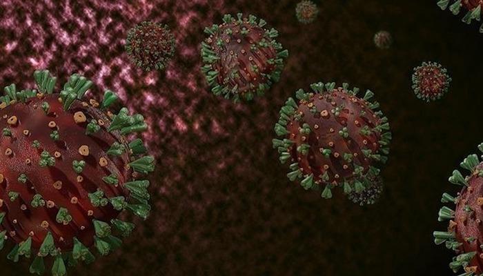 DSÖ: Afrika’da yaygın M çiçeği virüsüne karşı sürekli bulaşma riski nedeniyle hedefli aşılama şart