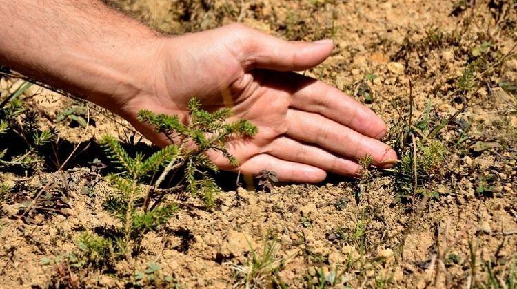 Biyoçeşitlilik çalışmasına ödül – Bigpara Haberleri