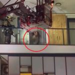 Ateşle oynamak isteyen kadından itfaiyeye damacana saldırısı!