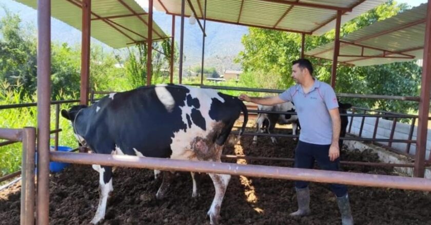 Milas’ta 11 Mahallede Karantina Uygulaması Başlatıldı